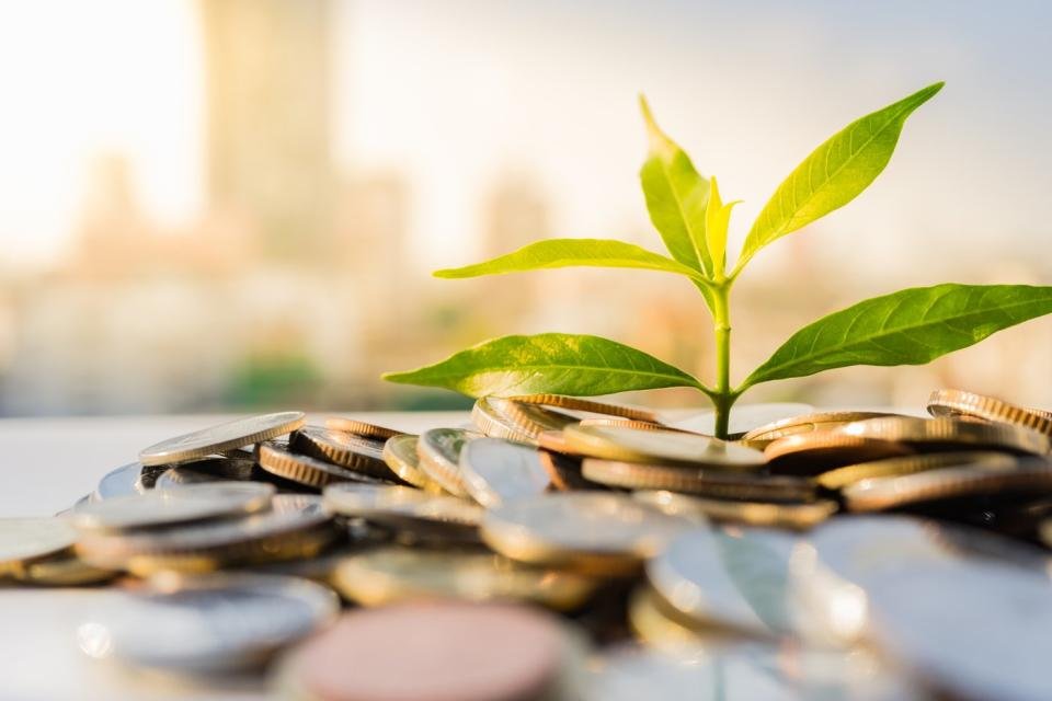 Une plante en herbe émerge d’un tas de pièces de monnaie.