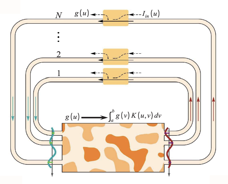 Légende de la figure