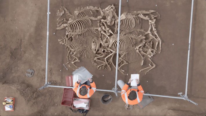Des sépultures de chevaux vieilles de 2 000 ans découvertes en France