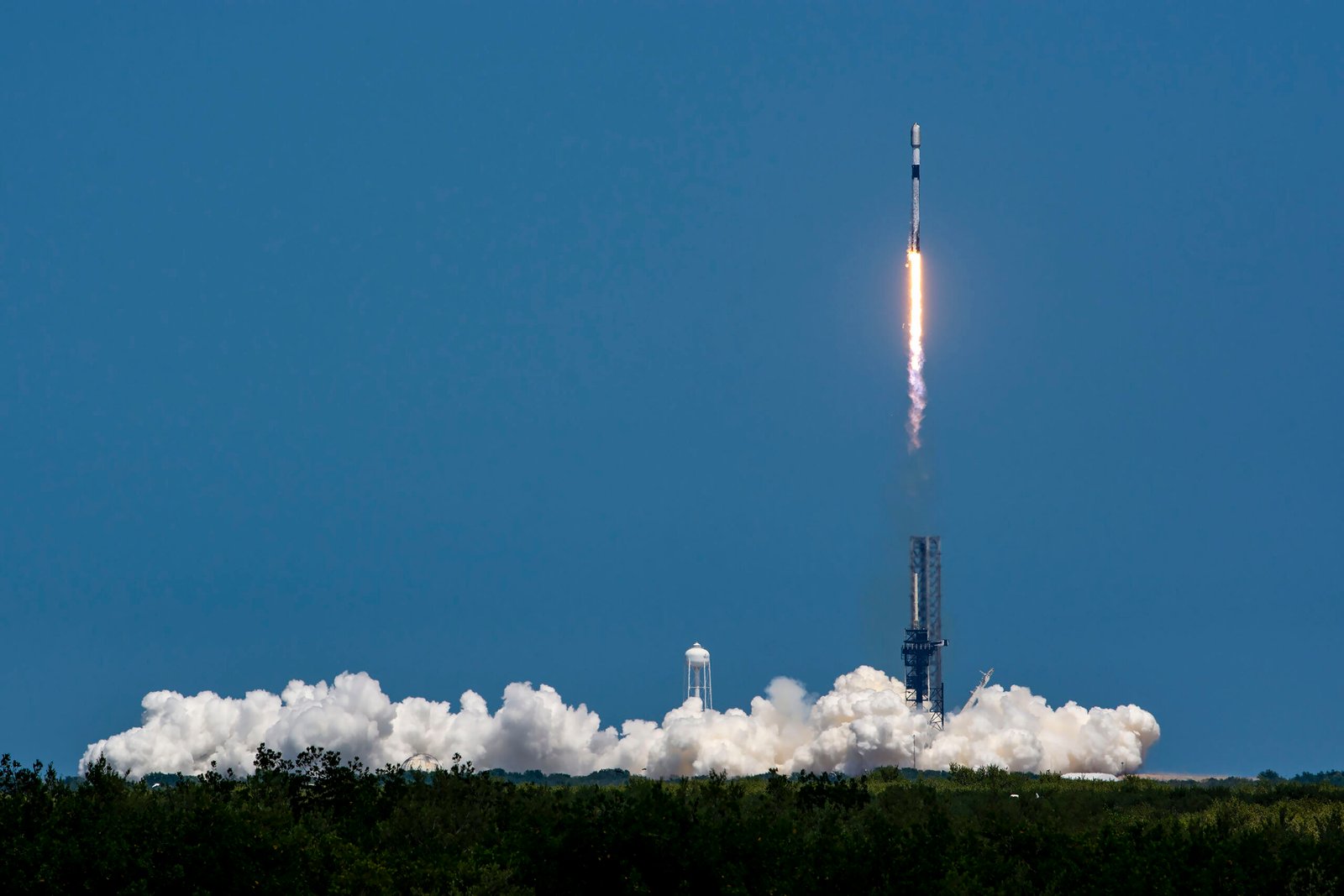 Starlink s’envole : l’Internet par satellite de SpaceX surprend les analystes avec une prévision de revenus de 6,6 milliards de dollars