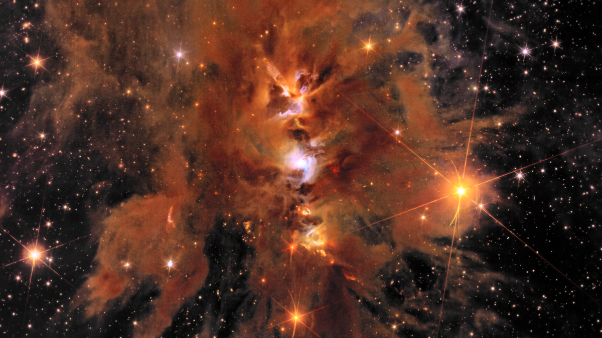 The Euclid ‘dark universe detective’ telescope has revealed new images of the cosmos — and they are remarkable