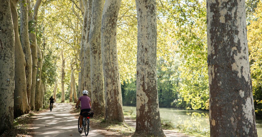 Faire du vélo à travers le sud de la France et son histoire