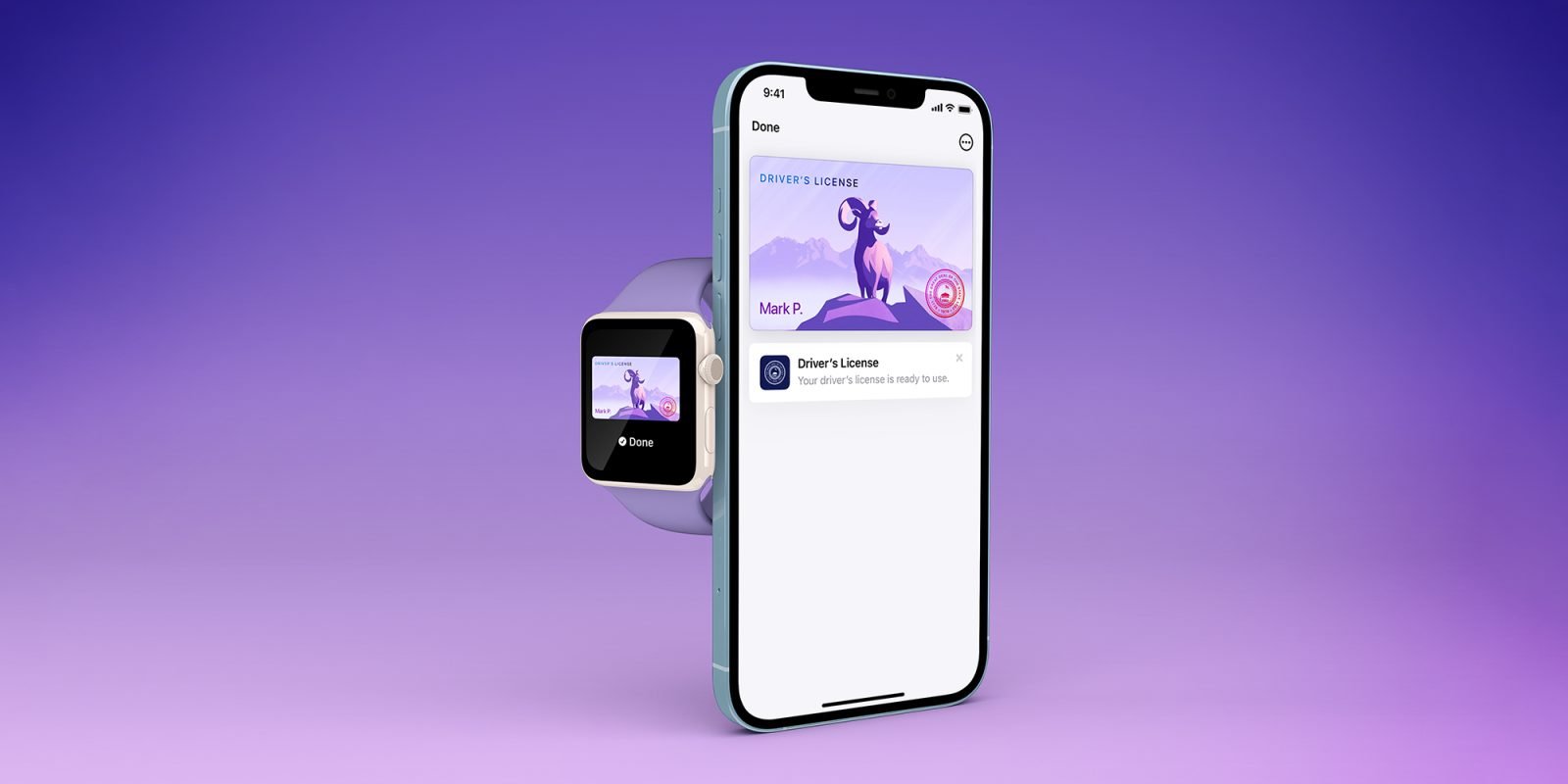 Voici les 20+ États qui envisagent de soutenir la fonctionnalité d’identification numérique d’Apple dans Wallet – 9to5Mac